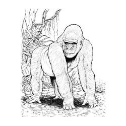 Coloring page: Gorilla (Animals) #7467 - Free Printable Coloring Pages