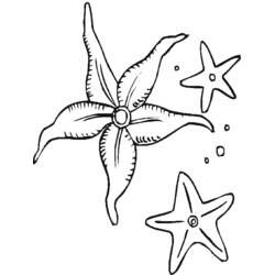 Coloring page: Starfish (Animals) #6709 - Free Printable Coloring Pages