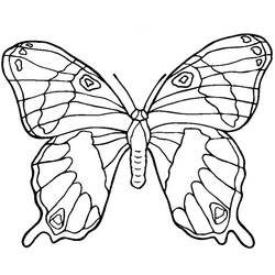 Coloring page: Butterfly Mandalas (Mandalas) #117396 - Free Printable Coloring Pages