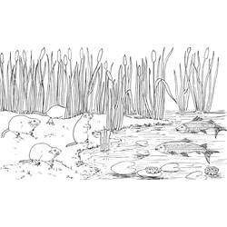 Coloring page: Lake (Nature) #166123 - Free Printable Coloring Pages